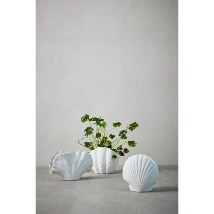 Vase Paola  en forme de coquillage - Lene Bjerre