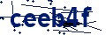 Code de sécurité