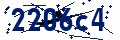 Code de sécurité